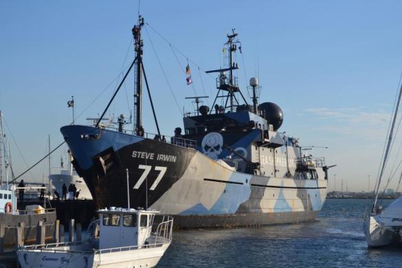 (Photo: Sea Shepherd flagship, Steve Irwin)