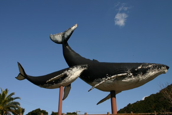 The iconic whales at the entrance of Taiji (Photo: Japan Focus.org)
